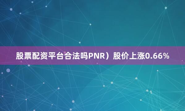 股票配资平台合法吗PNR）股价上涨0.66%