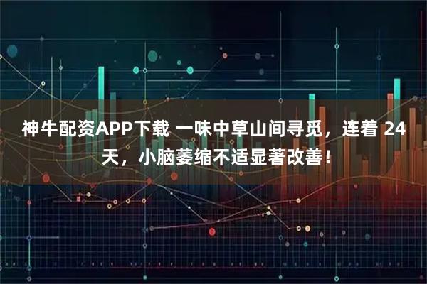 神牛配资APP下载 一味中草山间寻觅,连着 24 天,小脑萎缩不适显著改善!