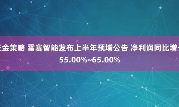天金策略 雷赛智能发布上半年预增公告 净利润同比增长55.00%~65.00%